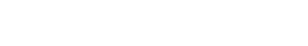EVS Multiservice | Logo